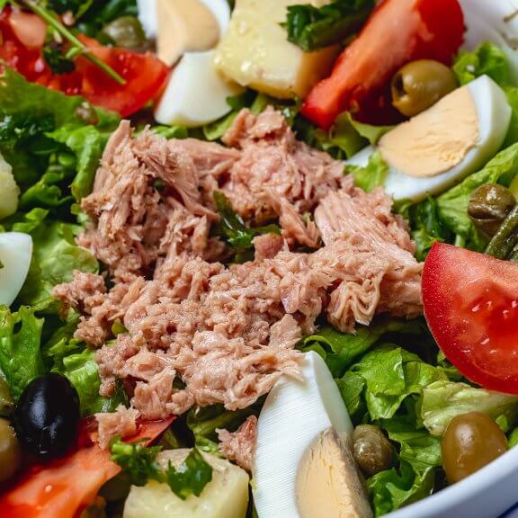 side-view-tuna-salad-with-boiled-egg-fresh-tomato-lettuce-green-olive-pickled-capers